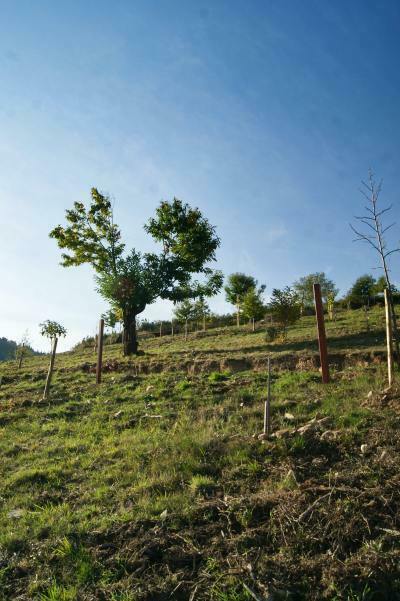 Ruta de los Miradores